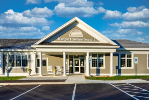 Bangor Humane Society Renovation & Expansion