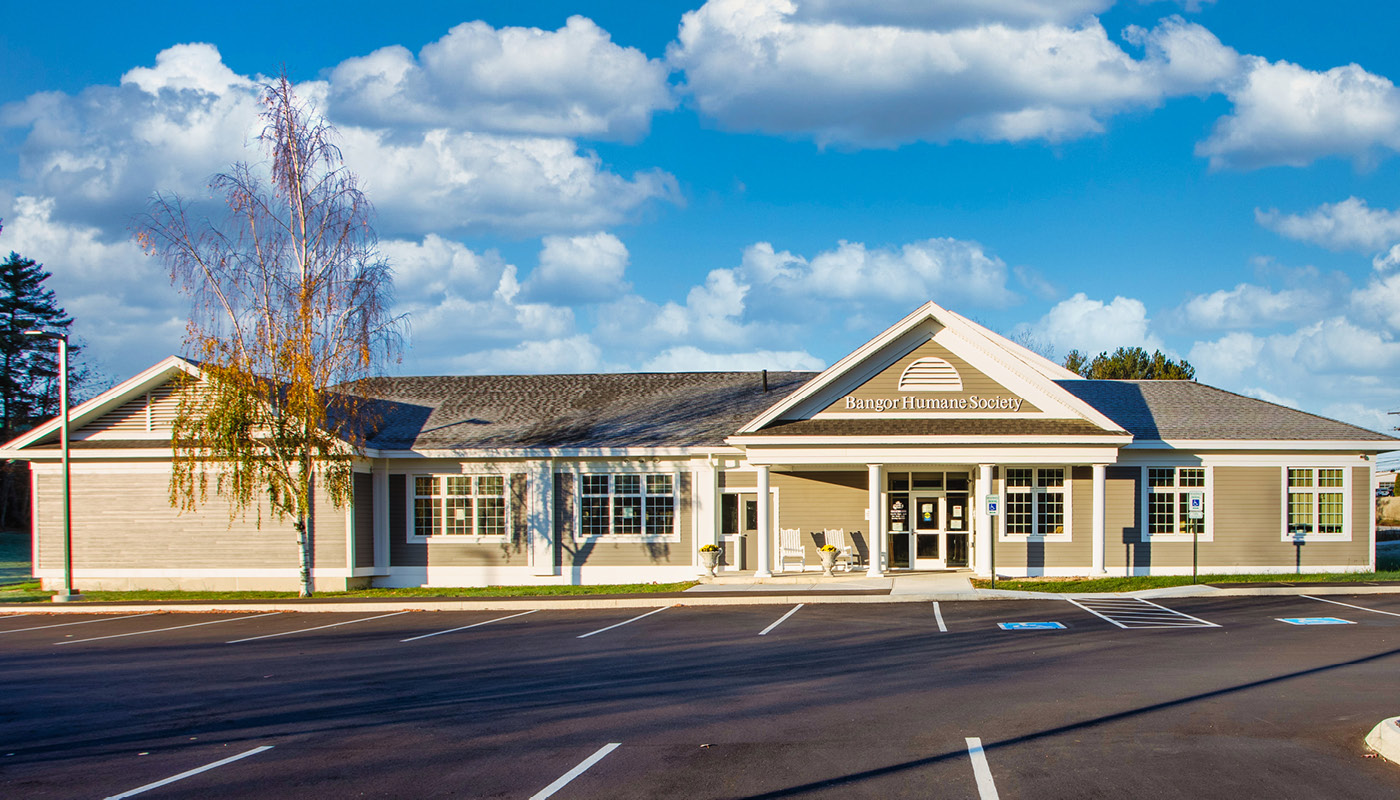 Bangor Humane Society Renovation & Expansion