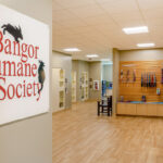 Bangor Humane Society Renovation & Expansion