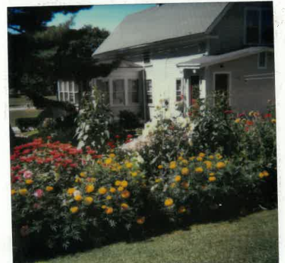 Flower garden at Doug's first house on Pine Street