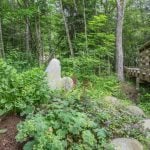 Indian Island Trails and Boat Pavilion