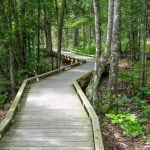 Indian Island Trails and Boat Pavilion