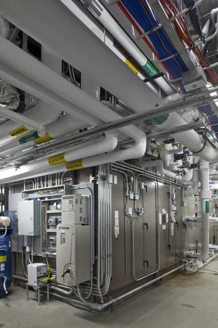 The Jackson Laboratory Isolation & Importation Facility WBRC Inc.