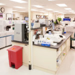 Manatee Memorial Hospital Laboratory Relocation & Expansion