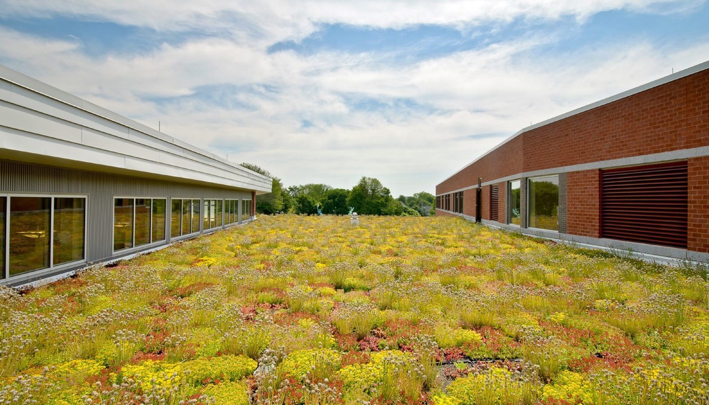 Ocean Avenue Elementary School